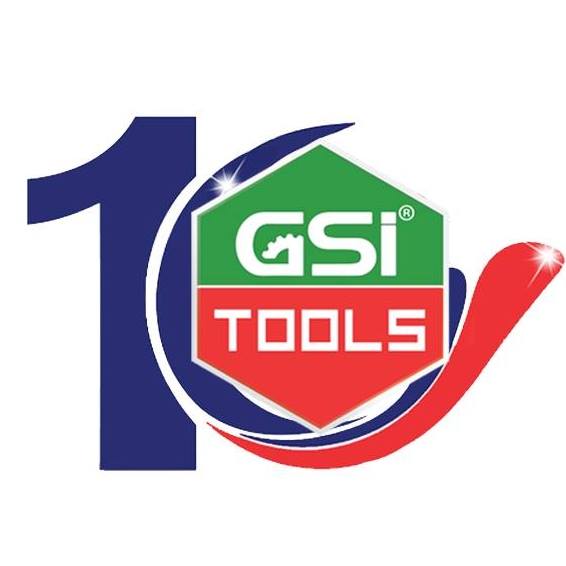 GSI VIỆT NAM