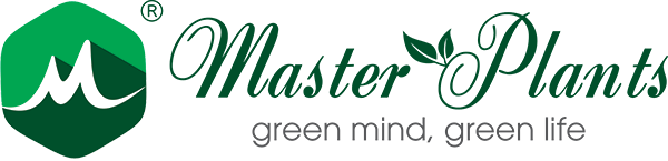 Công Ty Master Plants