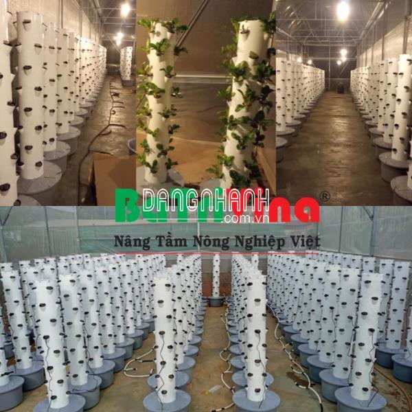 Trụ Khí Canh Xoay 360*