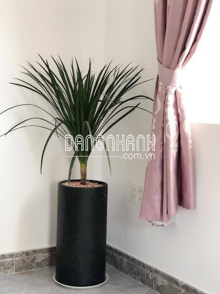 Chậu Đá Mài Tròn Trụ 30x60cm
