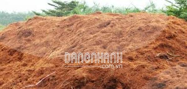 Mụn dừa – xơ dừa đã xử lý chát