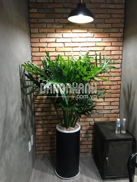 Chậu Đá Mài Tròn Trụ 30x60cm