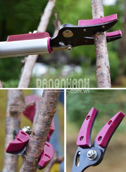 HM44 - Dụng Cụ Cắt Cành, Bấm Trái 3m
