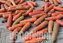 TIÊU LỐP OAC