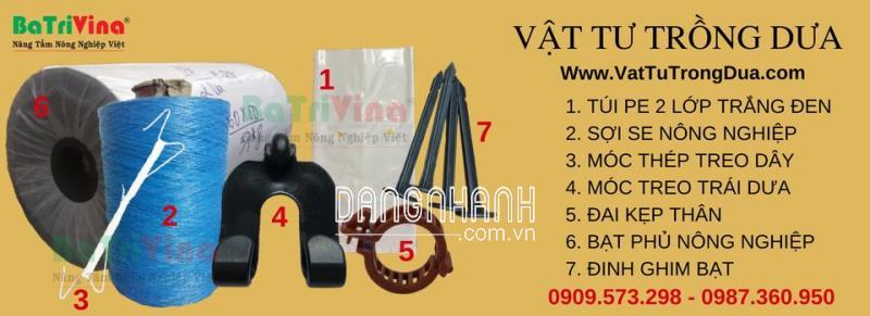 Đinh Ghim bạt phủ (kg)