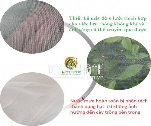 Lưới Ngăn Sâu Bọ Trồng Rau     