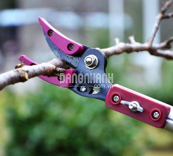 HM44 - Dụng Cụ Cắt Cành, Bấm Trái 3m