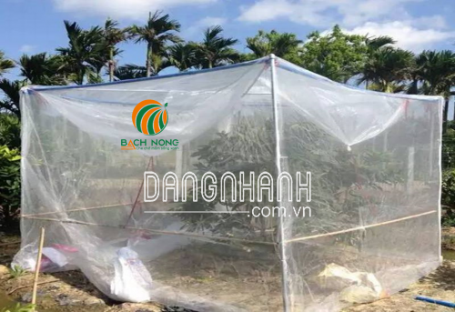 Lưới Ngăn Sâu Bọ Trồng Rau     