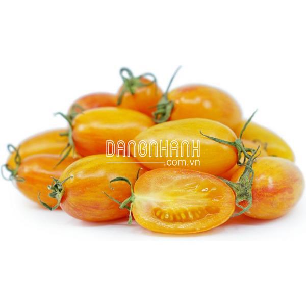 Cà chua Golden Tiger - Combo 5 hạt