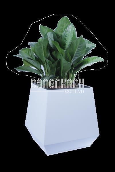 Chậu gỗ nhựa Composite vuông bầu đáy 8 mặt WPL-133