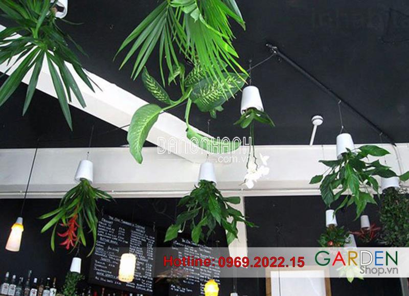 Chậu Treo Ngược 14cmx11cm ( Loại Nhỏ )
