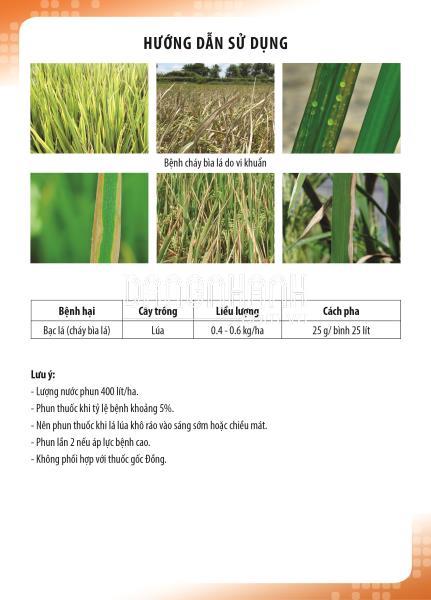 Phòng trừ bênh bạc lá vi khuẩn, lép vàng trên lúa