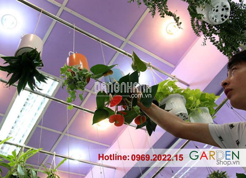 Chậu Treo Ngược 14cmx11cm ( Loại Nhỏ )