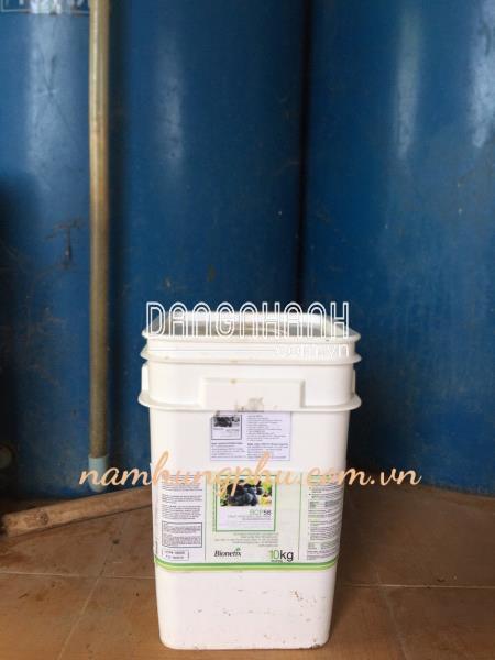 Men Vi Sinh BCP56 Xử Lý Nước Thải Trái Cây, Rau Củ Quả