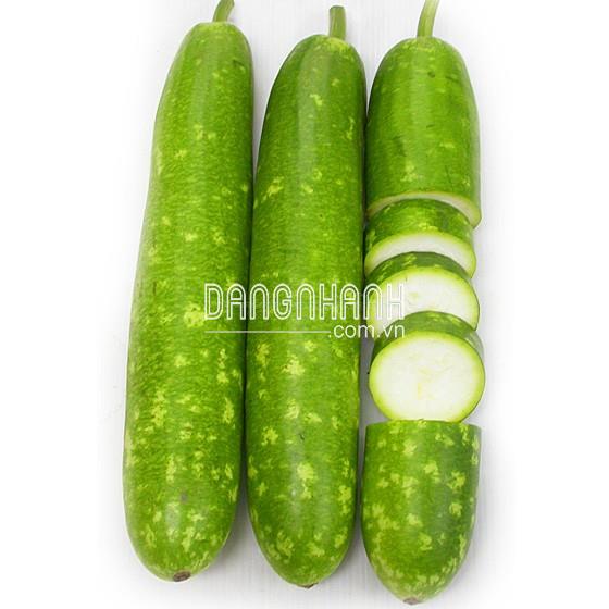 Hạt giống bầu sao