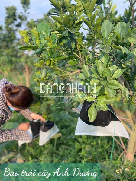 Túi Bao Chống Cháy Ánh Dương KT 30x35 cm