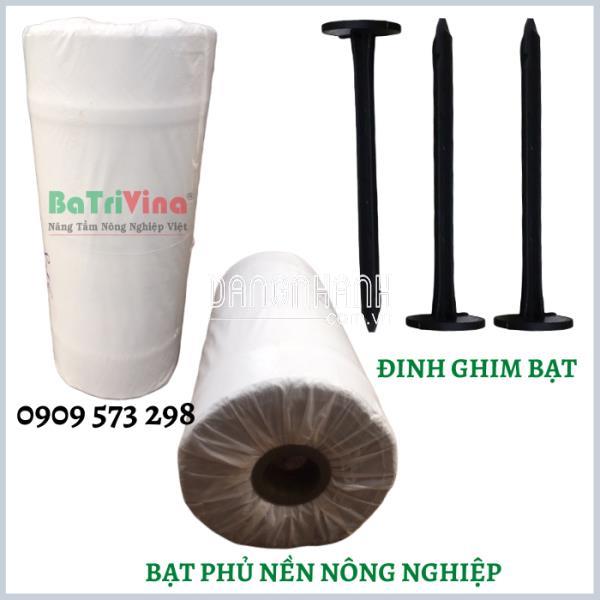 Đinh Ghim bạt phủ (kg)