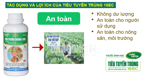 TIÊU TUYẾN TRÙNG 18EC
