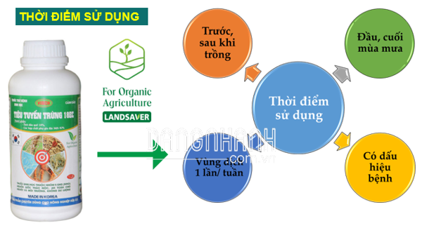 TIÊU TUYẾN TRÙNG 18EC