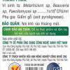 BiO-BUG – Chuyên xua đuổi, tiêu diệt bọ trĩ