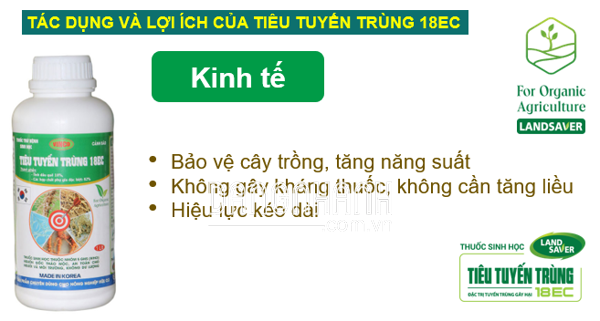 TIÊU TUYẾN TRÙNG 18EC