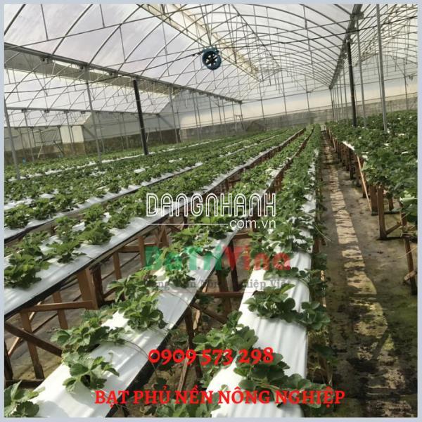 Bạt phủ Nông nghiệp