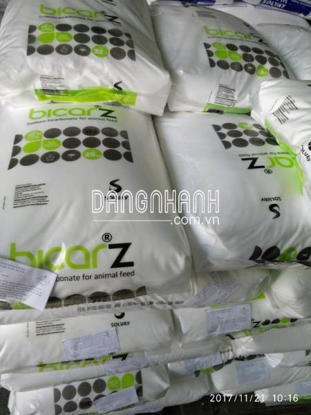 SODIUM BICARBONATE 99% ( SODA LẠNH )
