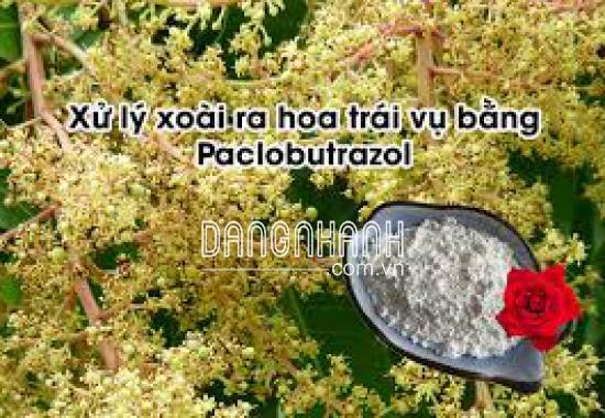 PACLOBUTRAZOL 20WP