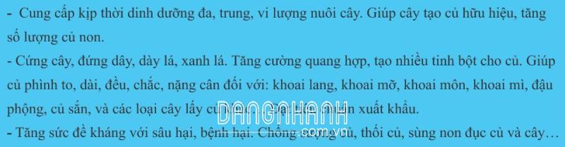 SIÊU KHOAI LANG