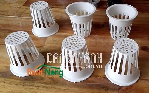Dụng cụ trồng rau thủy canh