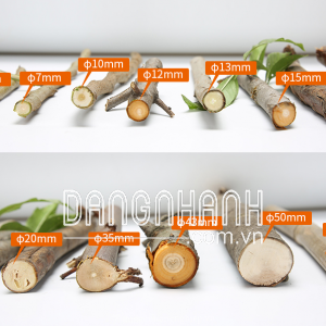 kéo cắt cành HM012