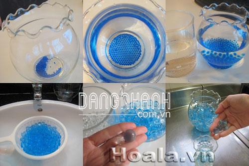Giá thể thủy sinh