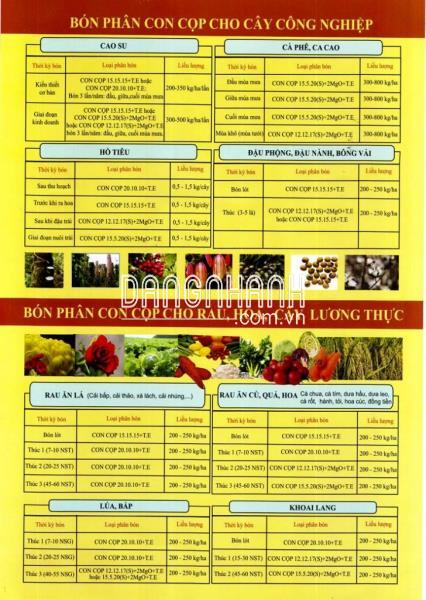 NPK CON CỌP 15-15-15 + Te