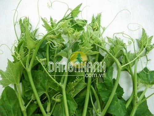 Hạt giống bí đỏ siêu ngọn