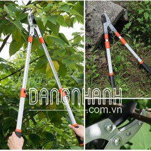 kéo cắt cành HM012
