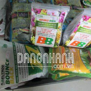 Nấm đối kháng