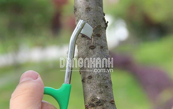 HM220-DKV - Bộ dao khoanh vỏ cây trồng nhập loại nhỏ (xanh) lưỡi dao