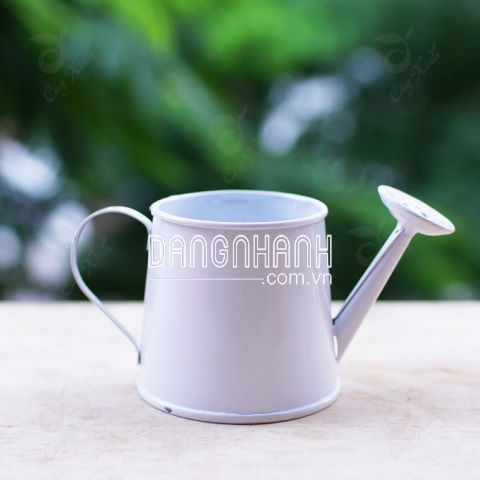 Bộ dụng cụ làm vườn mini