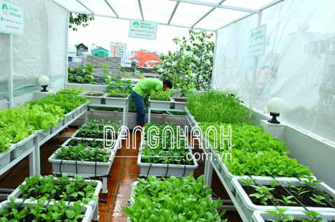 Bộ dụng cụ làm vườn mini