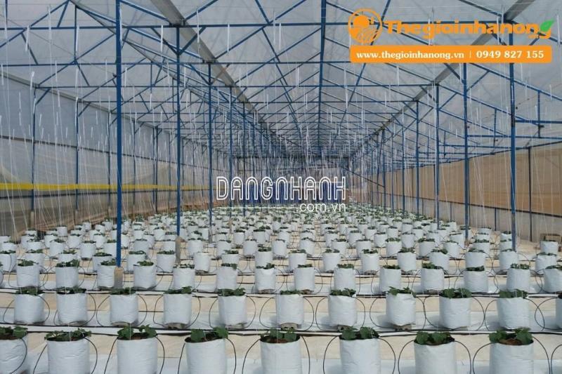 SỢI SE NÔNG NGHIỆP THÁI LAN