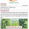 CNX-CN – Tiêu diệt, ngăn ngừa mầm bệnh trong đất