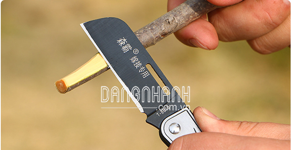 HM246-DGC - Dao ghép cành Đài Loan D-610