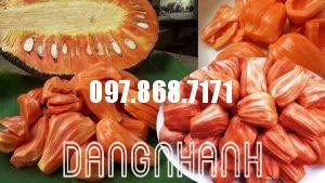 MÍT RUỘT ĐỎ MALAYSIA