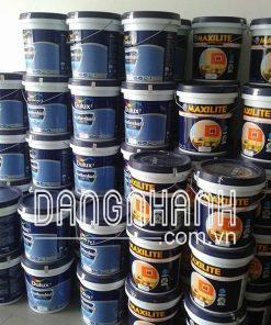 Maxilite