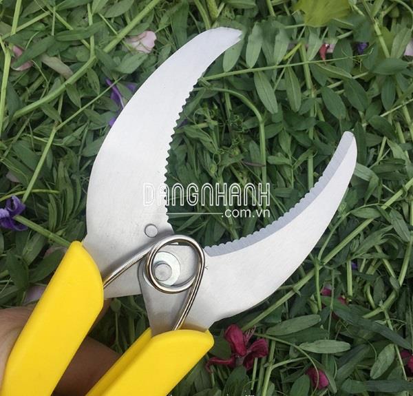 HM115-DCC - Kéo chiết cây, khoanh vỏ lưỡi răng cưa