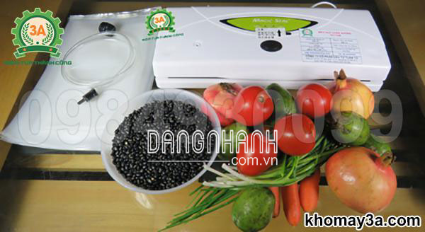 Máy hút chân không 3A110W