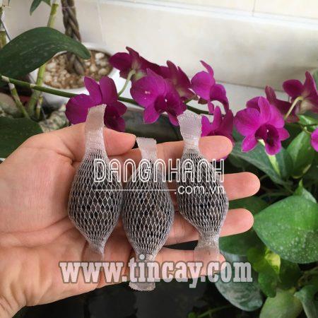 TRIMIX-N1 PHÂN TAN CHẬM HỮU CƠ BÓN GỐC CHO HOA LAN