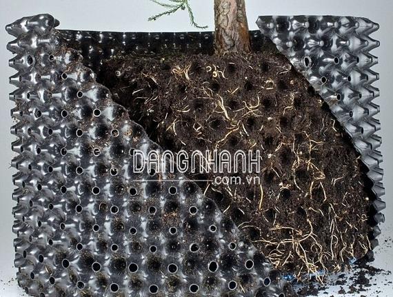 Bầu Nhựa Dưỡng Cây BoSaVina (Cao 20 cm - Cuộn dài 50 m - Dày 0.7)