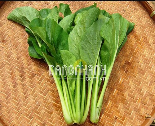 Hạt giống cải ngọt