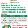 CNX-CN – Tiêu diệt, ngăn ngừa mầm bệnh trong đất